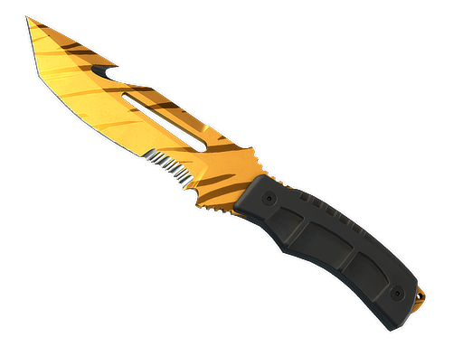 Tiger Tooth