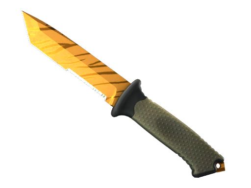 Tiger Tooth